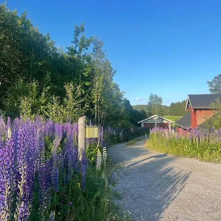 Koselig I - Rolig Og Naturnaert *
